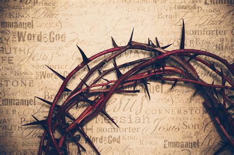 The Curae of Thorns: A Silent Epidemic
